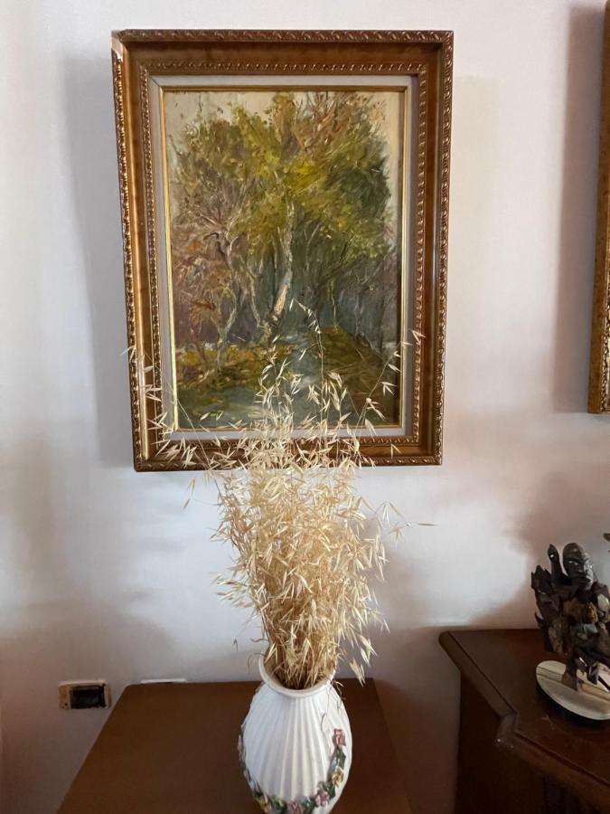 Venus - Cozy Apt With Terrace Vlorë Εξωτερικό φωτογραφία