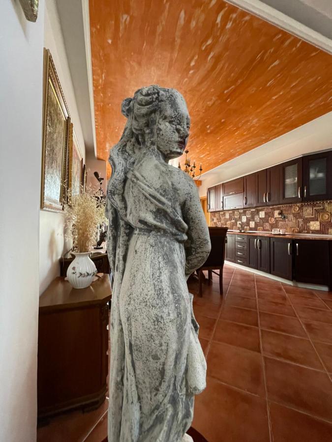 Venus - Cozy Apt With Terrace Vlorë Εξωτερικό φωτογραφία